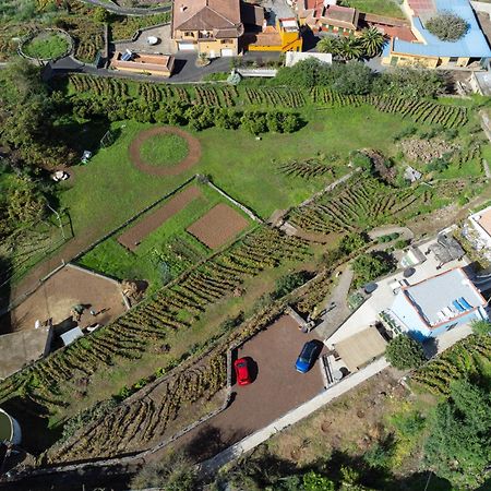 Ek Drago Finca El Milagro La Orotava Dış mekan fotoğraf