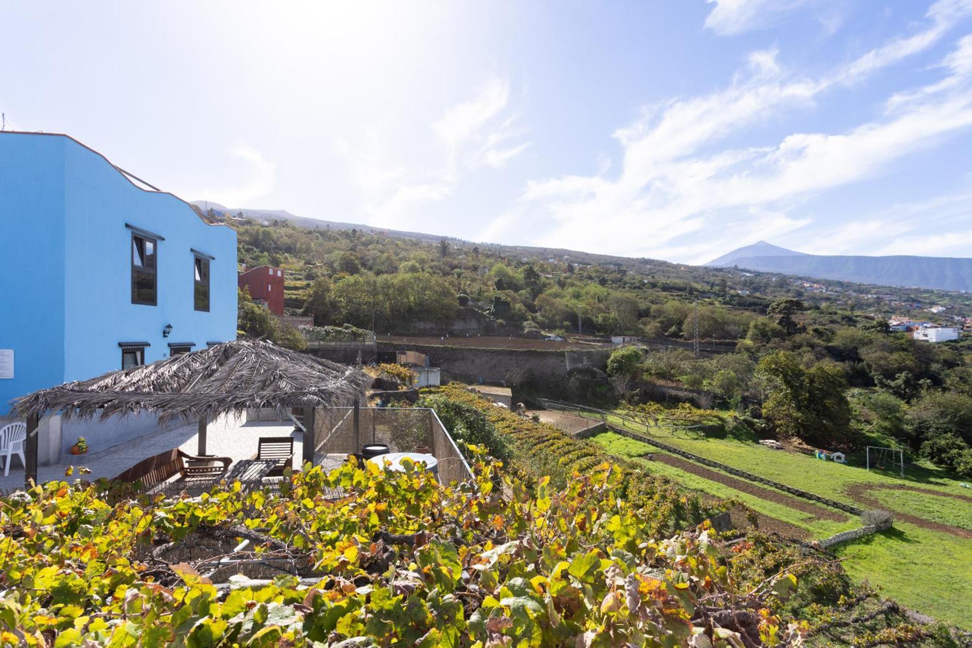 Ek Drago Finca El Milagro La Orotava Dış mekan fotoğraf