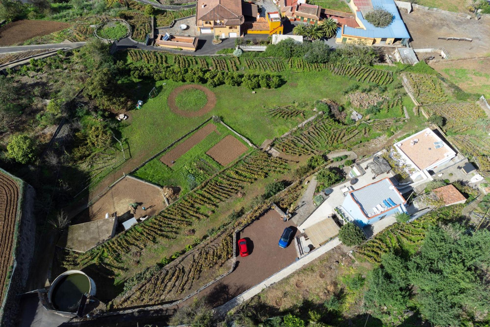 Ek Drago Finca El Milagro La Orotava Dış mekan fotoğraf