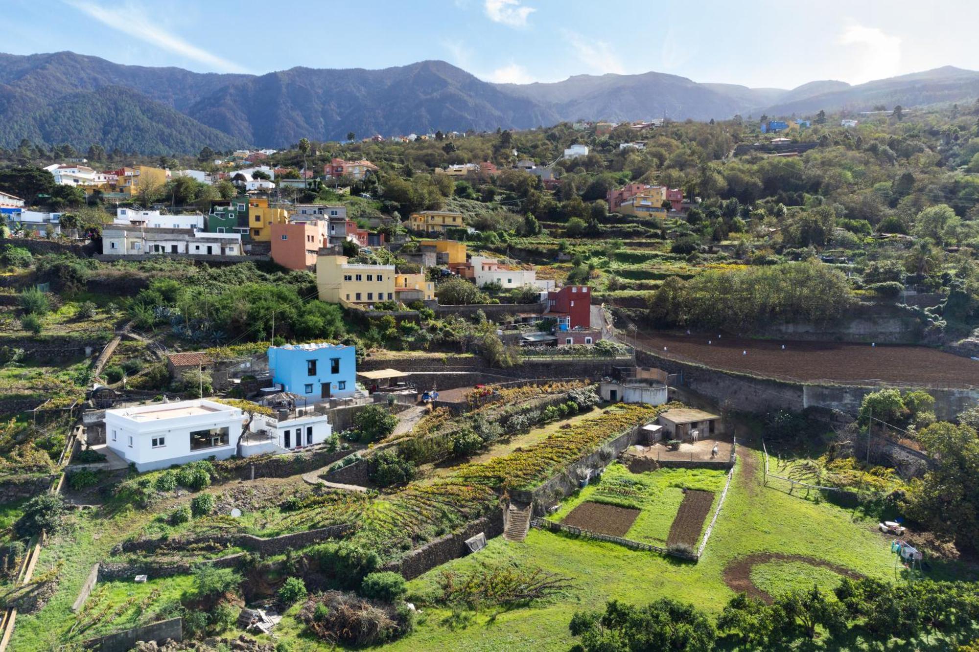 Ek Drago Finca El Milagro La Orotava Dış mekan fotoğraf