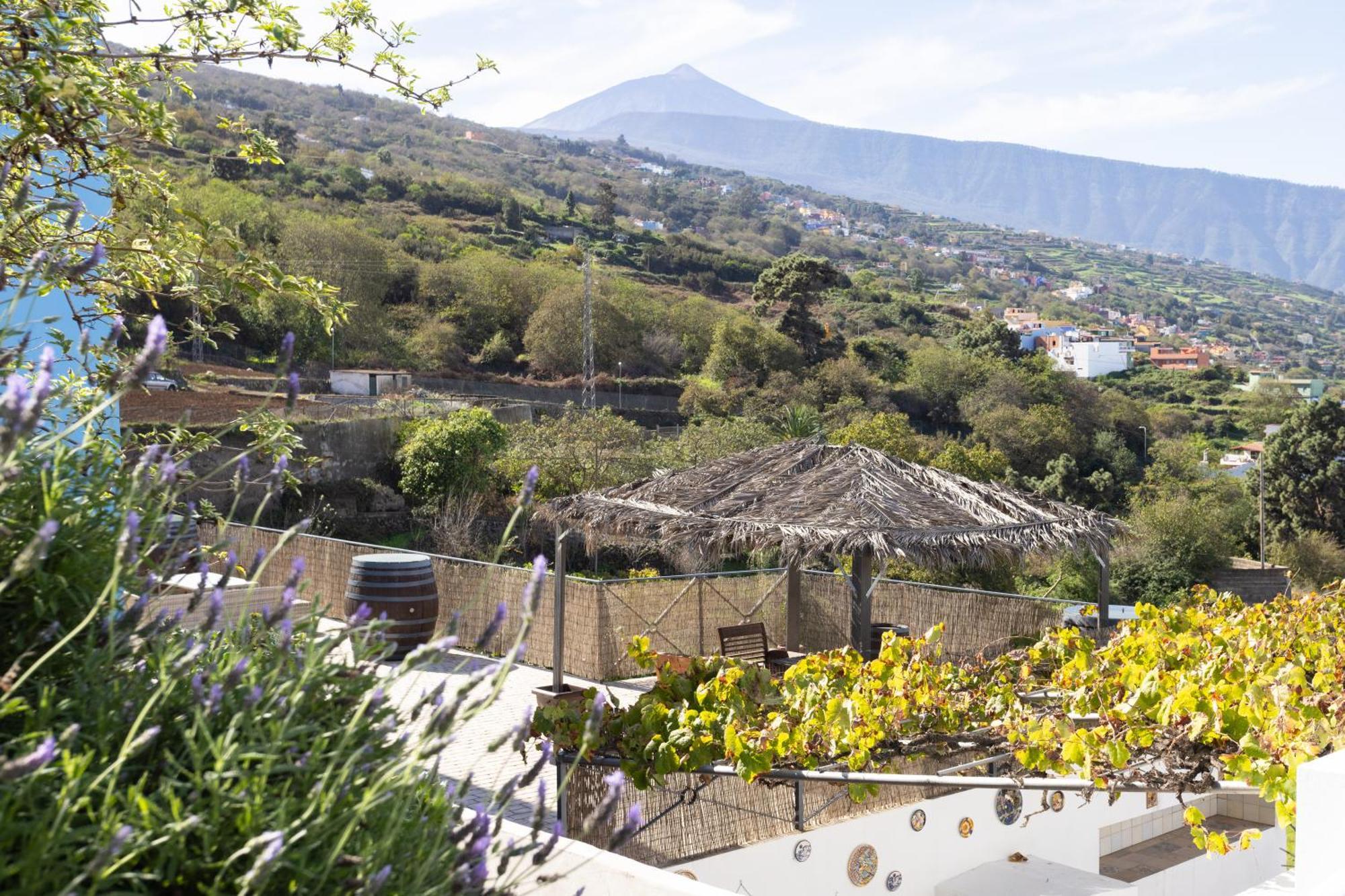 Ek Drago Finca El Milagro La Orotava Dış mekan fotoğraf