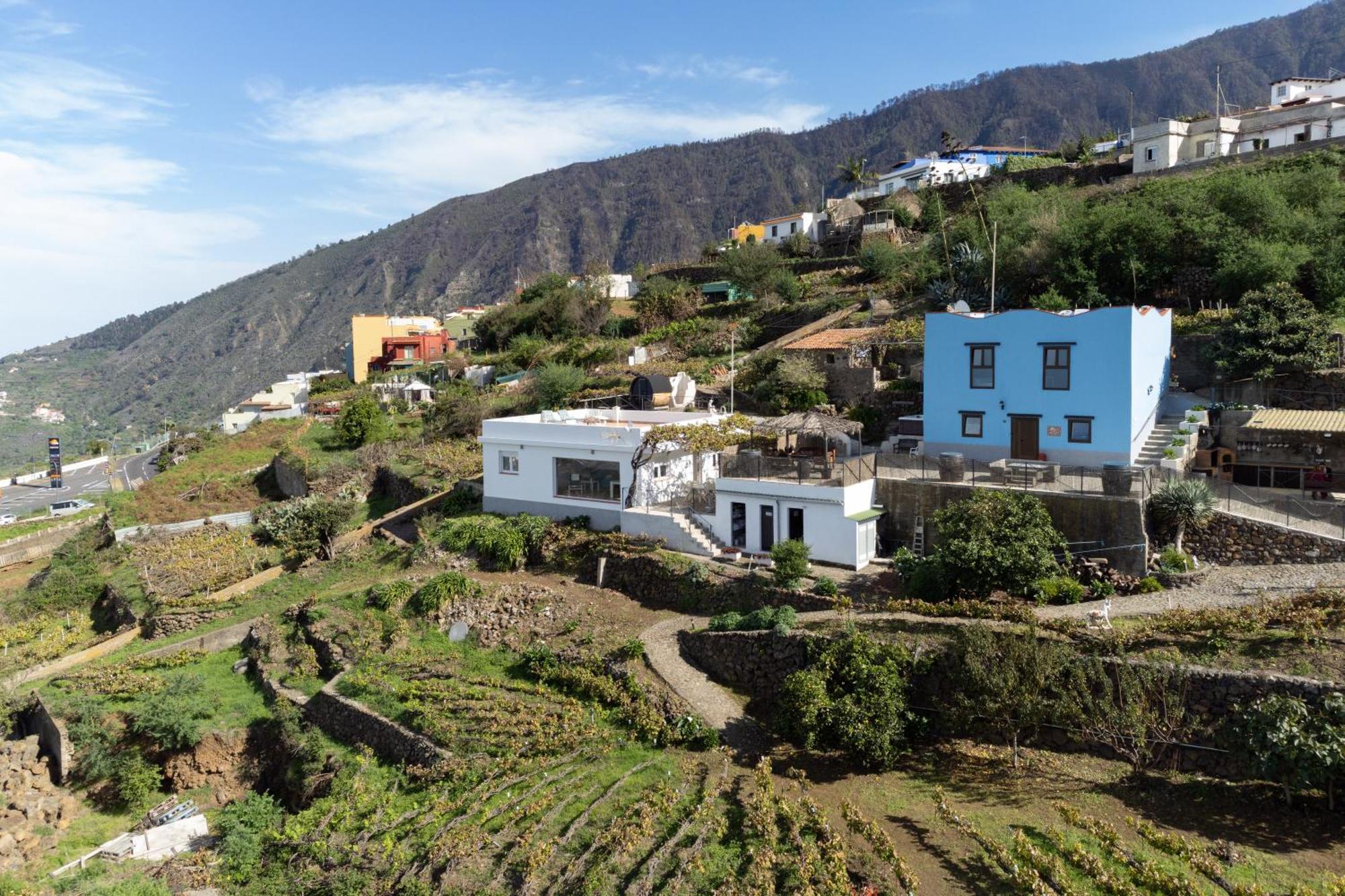 Ek Drago Finca El Milagro La Orotava Dış mekan fotoğraf
