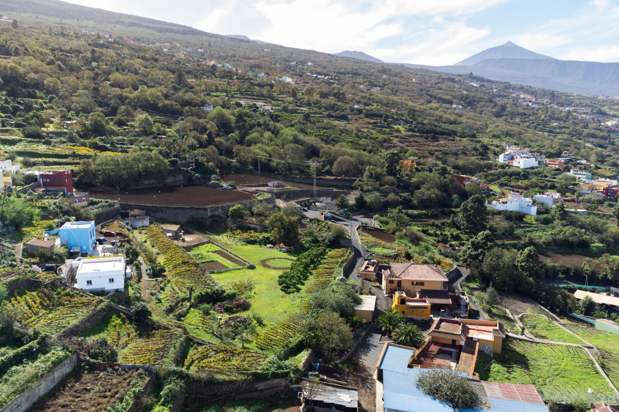 Ek Drago Finca El Milagro La Orotava Dış mekan fotoğraf