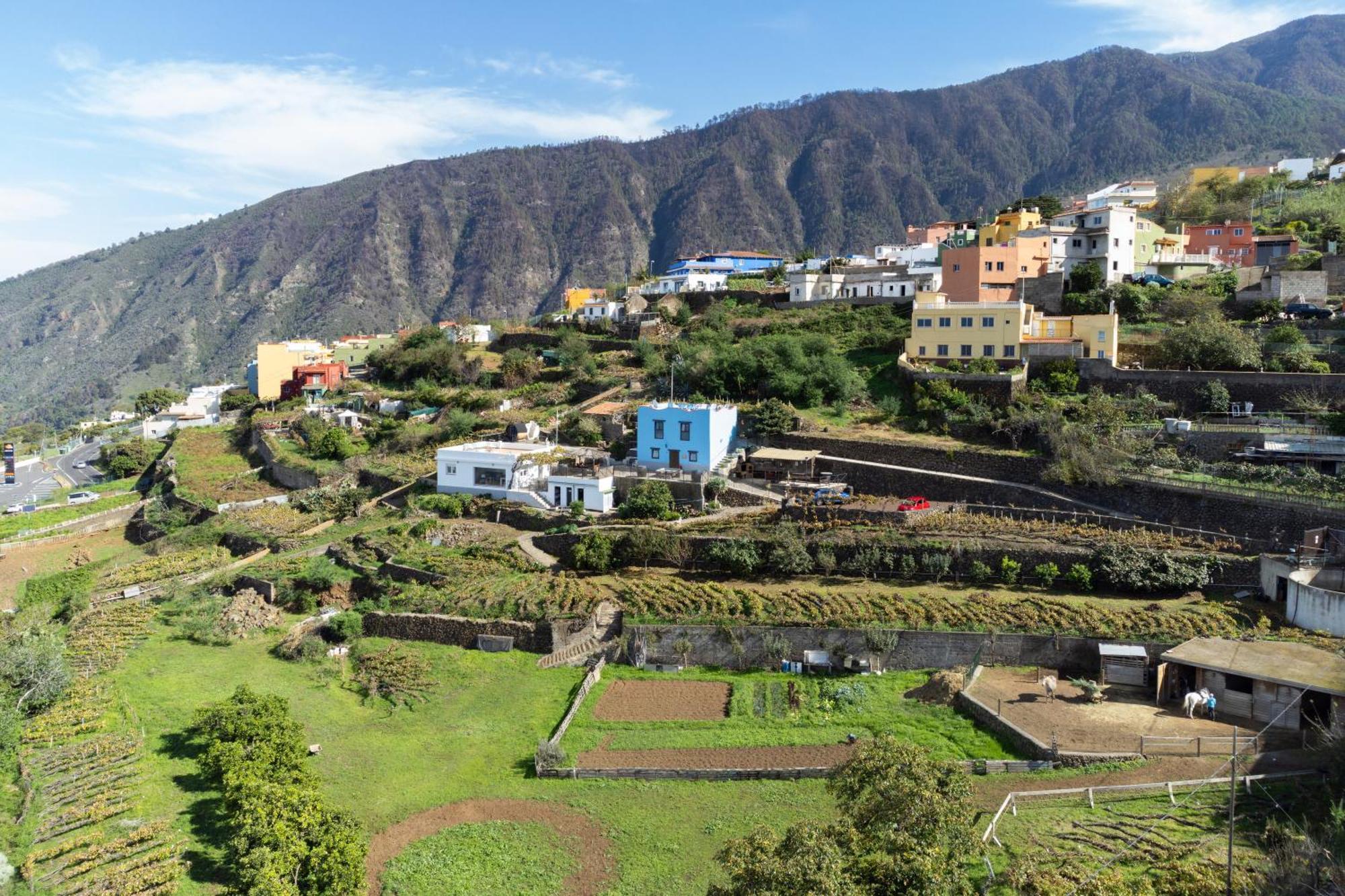 Ek Drago Finca El Milagro La Orotava Dış mekan fotoğraf