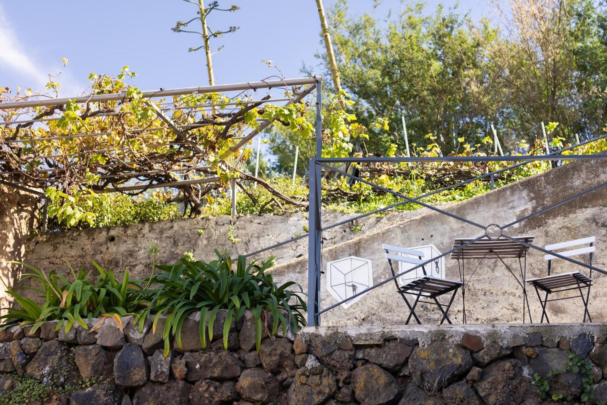Ek Drago Finca El Milagro La Orotava Dış mekan fotoğraf