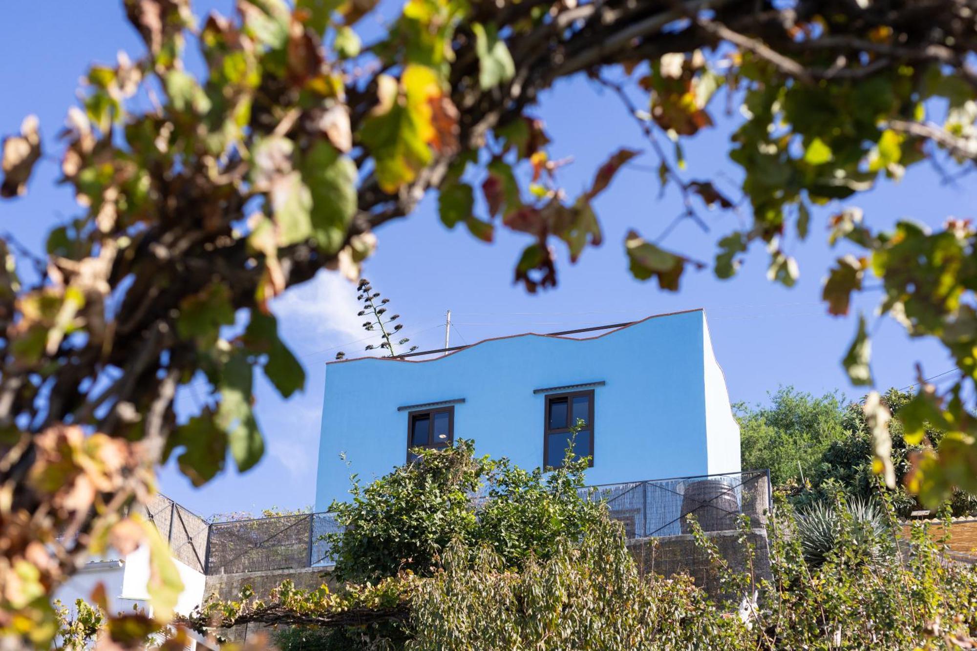 Ek Drago Finca El Milagro La Orotava Dış mekan fotoğraf
